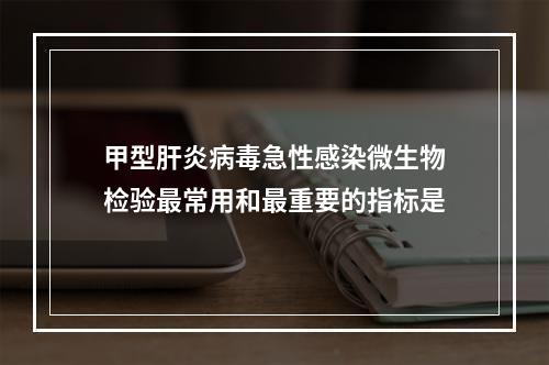 甲型肝炎病毒急性感染微生物检验最常用和最重要的指标是