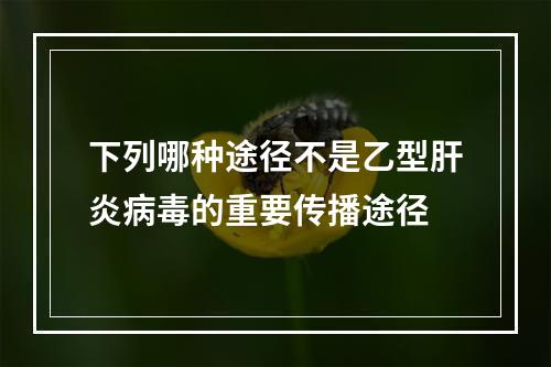 下列哪种途径不是乙型肝炎病毒的重要传播途径