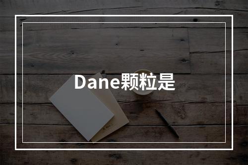 Dane颗粒是