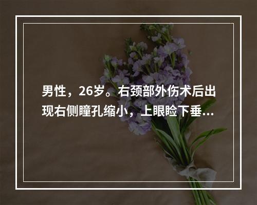 男性，26岁。右颈部外伤术后出现右侧瞳孔缩小，上眼睑下垂，眼