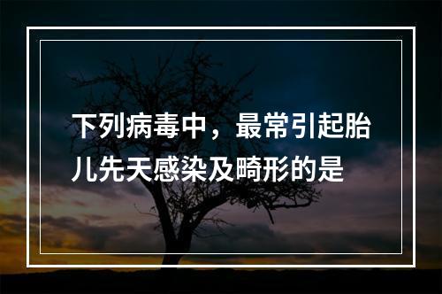 下列病毒中，最常引起胎儿先天感染及畸形的是