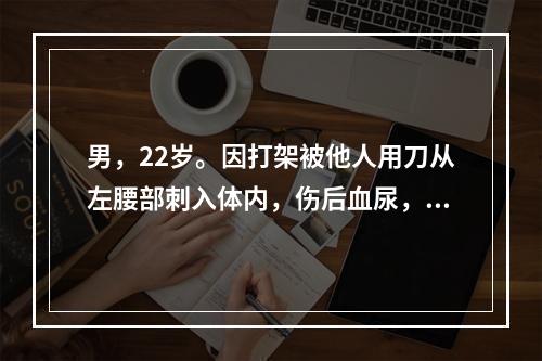 男，22岁。因打架被他人用刀从左腰部刺入体内，伤后血尿，腹痛