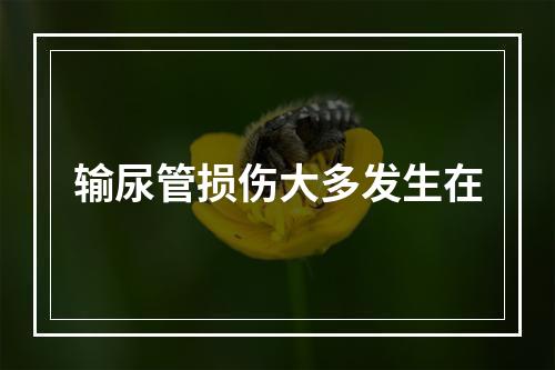 输尿管损伤大多发生在