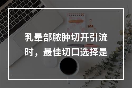 乳晕部脓肿切开引流时，最佳切口选择是