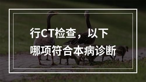 行CT检查，以下哪项符合本病诊断