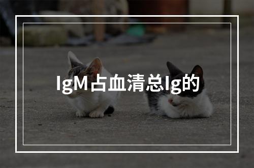 IgM占血清总Ig的