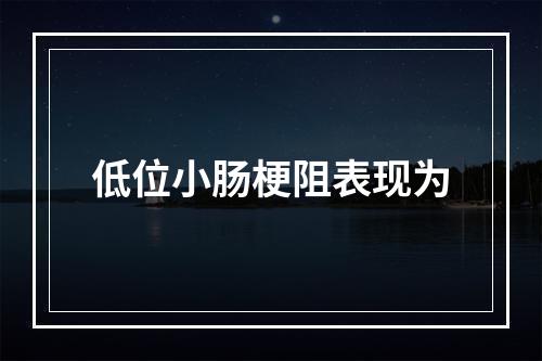 低位小肠梗阻表现为