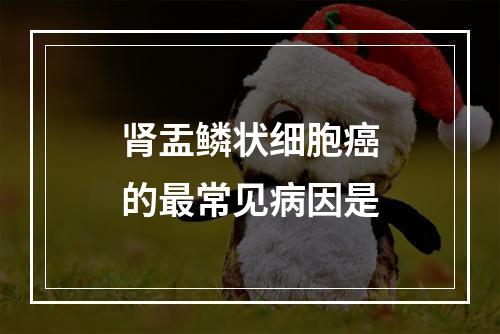 肾盂鳞状细胞癌的最常见病因是