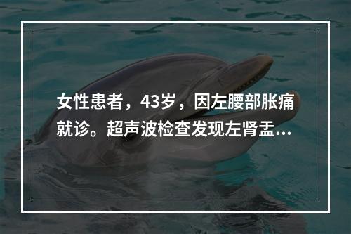 女性患者，43岁，因左腰部胀痛就诊。超声波检查发现左肾盂积水