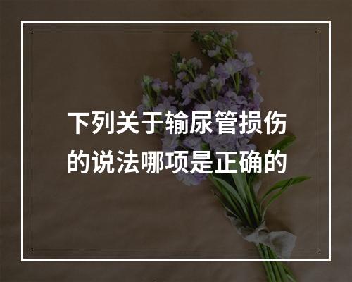 下列关于输尿管损伤的说法哪项是正确的