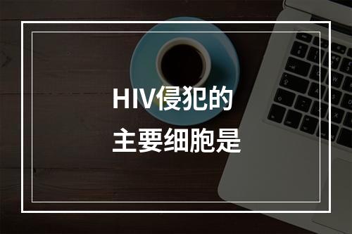 HIV侵犯的主要细胞是