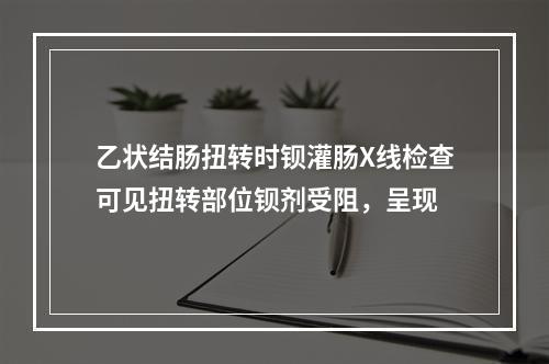 乙状结肠扭转时钡灌肠X线检查可见扭转部位钡剂受阻，呈现