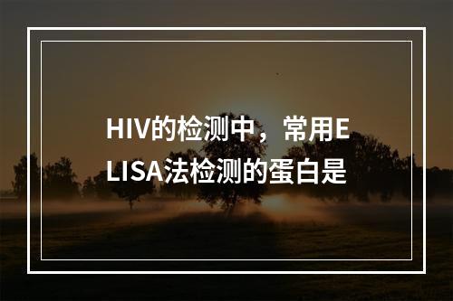 HIV的检测中，常用ELISA法检测的蛋白是