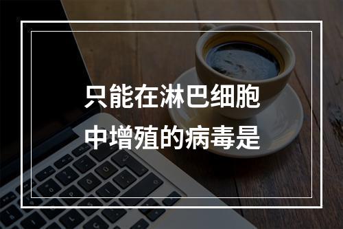 只能在淋巴细胞中增殖的病毒是