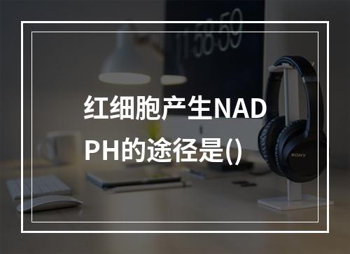 红细胞产生NADPH的途径是()