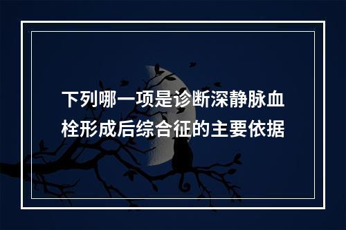 下列哪一项是诊断深静脉血栓形成后综合征的主要依据