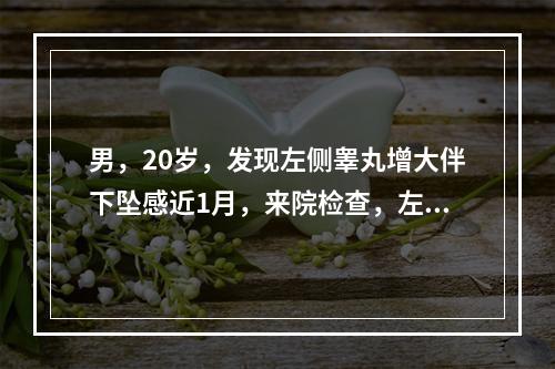 男，20岁，发现左侧睾丸增大伴下坠感近1月，来院检查，左睾丸