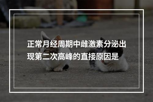 正常月经周期中雌激素分泌出现第二次高峰的直接原因是