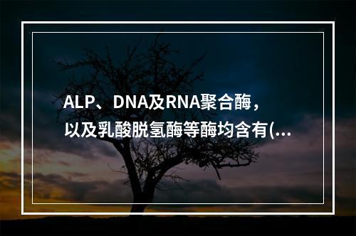 ALP、DNA及RNA聚合酶，以及乳酸脱氢酶等酶均含有()