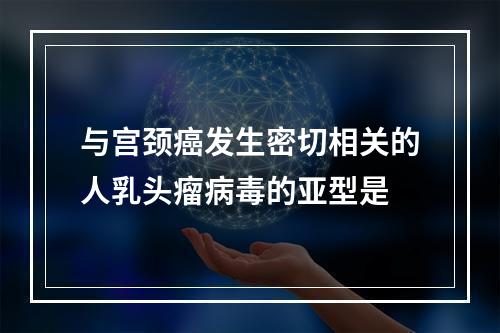 与宫颈癌发生密切相关的人乳头瘤病毒的亚型是