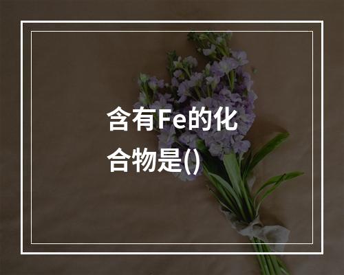 含有Fe的化合物是()