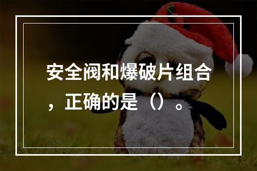 安全阀和爆破片组合，正确的是（）。