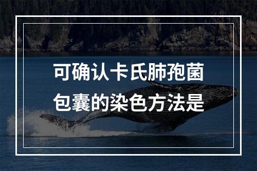 可确认卡氏肺孢菌包囊的染色方法是