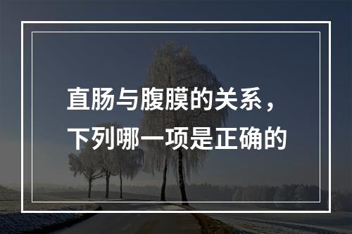 直肠与腹膜的关系，下列哪一项是正确的