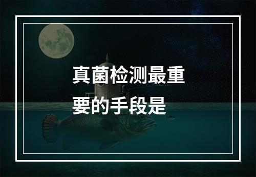 真菌检测最重要的手段是