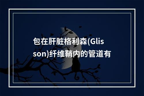 包在肝脏格利森(Glisson)纤维鞘内的管道有