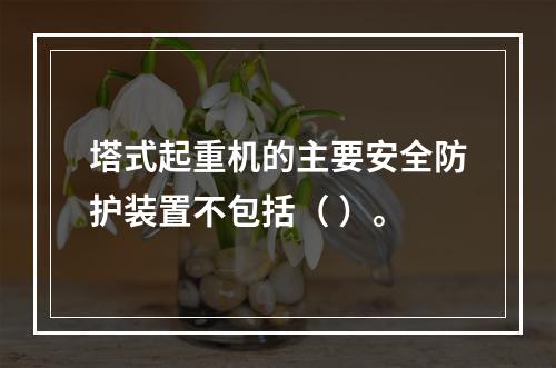 塔式起重机的主要安全防护装置不包括（ ）。