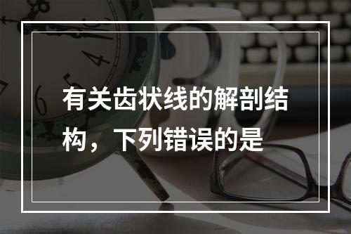 有关齿状线的解剖结构，下列错误的是