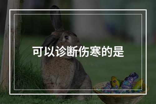 可以诊断伤寒的是