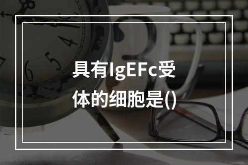 具有IgEFc受体的细胞是()