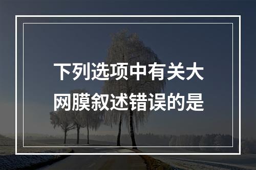 下列选项中有关大网膜叙述错误的是