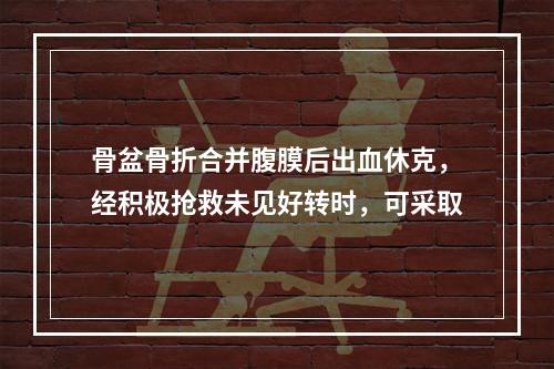 骨盆骨折合并腹膜后出血休克，经积极抢救未见好转时，可采取