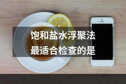 饱和盐水浮聚法最适合检查的是