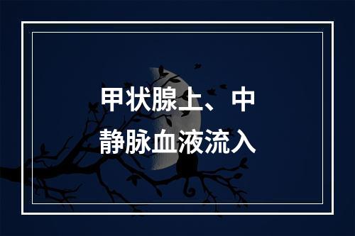 甲状腺上、中静脉血液流入