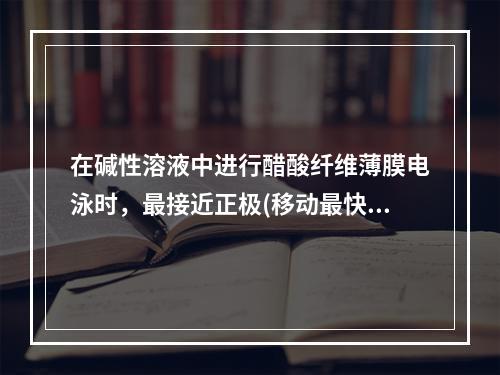 在碱性溶液中进行醋酸纤维薄膜电泳时，最接近正极(移动最快)的