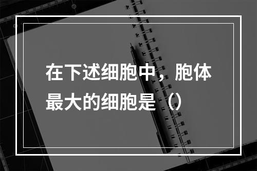 在下述细胞中，胞体最大的细胞是（）