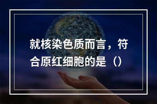 就核染色质而言，符合原红细胞的是（）