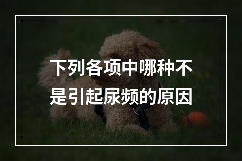 下列各项中哪种不是引起尿频的原因