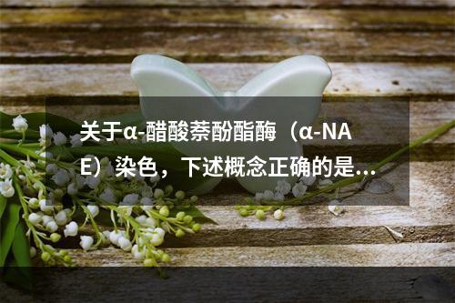 关于α-醋酸萘酚酯酶（α-NAE）染色，下述概念正确的是（）