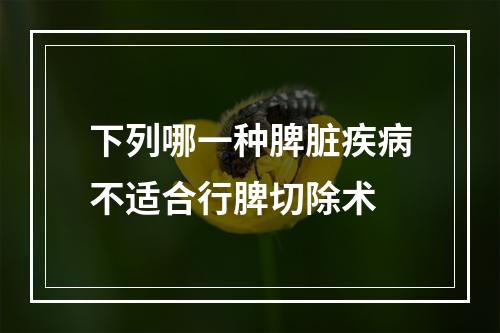 下列哪一种脾脏疾病不适合行脾切除术