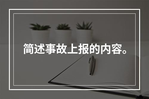 简述事故上报的内容。