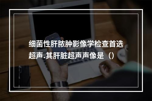 细菌性肝脓肿影像学检查首选超声.其肝脏超声声像是（）