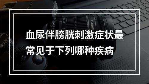 血尿伴膀胱刺激症状最常见于下列哪种疾病