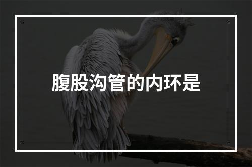 腹股沟管的内环是