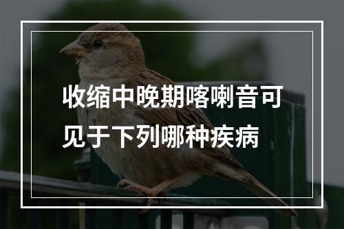 收缩中晚期喀喇音可见于下列哪种疾病