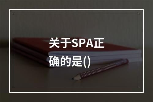 关于SPA正确的是()